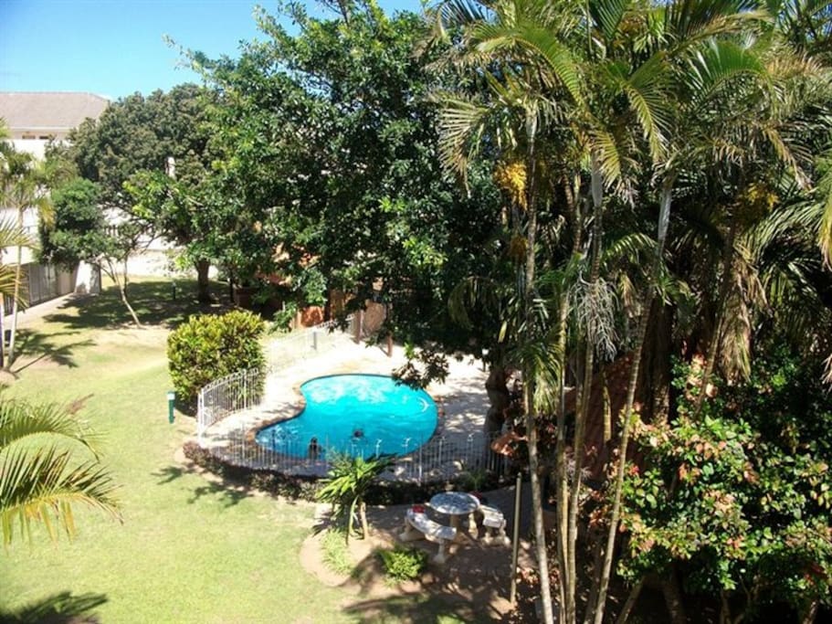 Garden area and swimming pool.