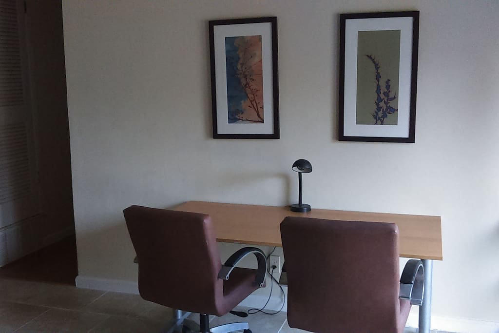 Remote Workspace for Professionals