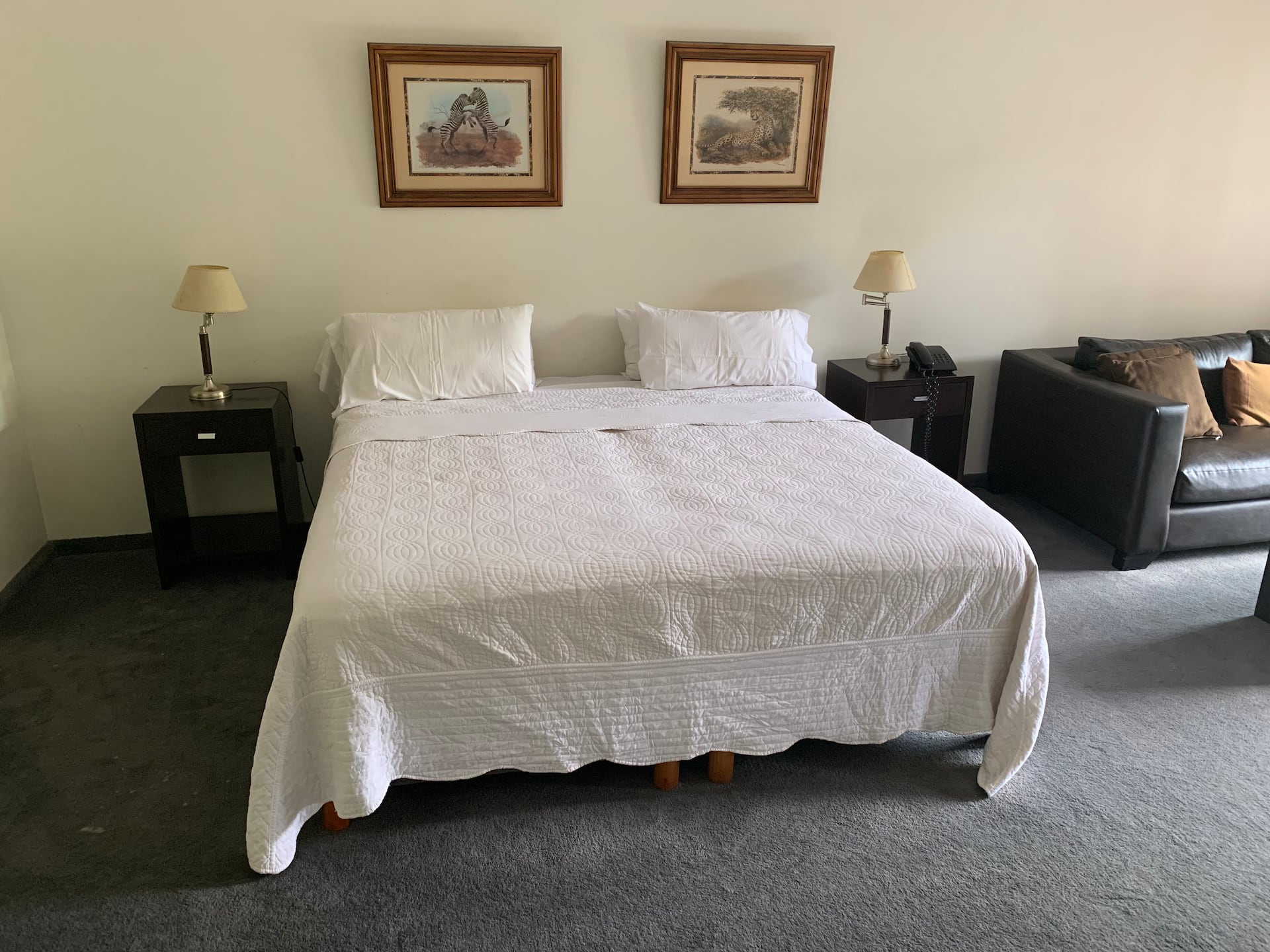 Recoleta, Excellent apartment. Best price