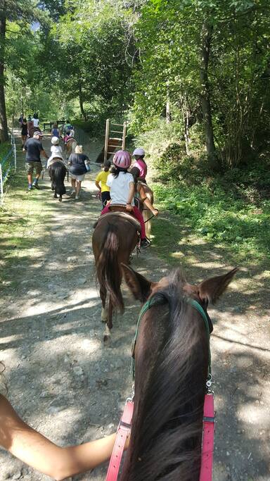 passeggiata a cavallo in Antey
