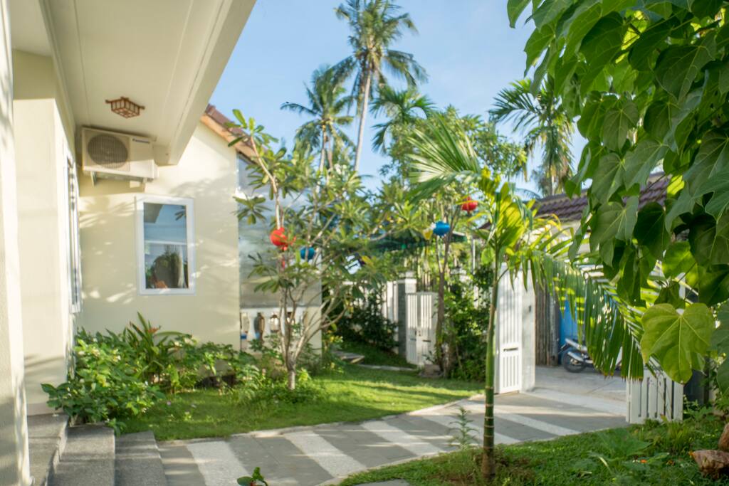 The front yard
