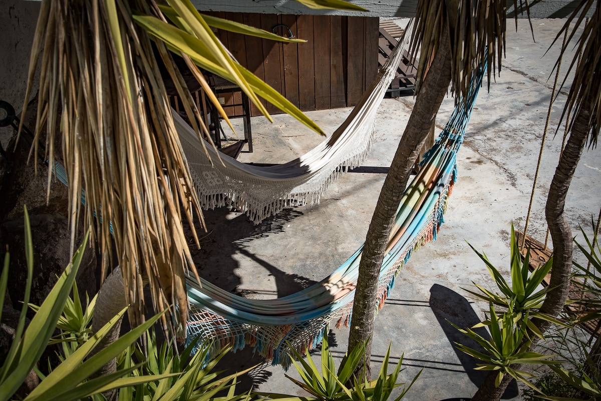 Two hammocks are nestled between palm trees, providing a relaxed outdoor seating area. The sunlit concrete floor is adorned with tropical plants, while the hammocks feature intricate fringe and vibrant colors, inviting moments of leisure amidst nature.