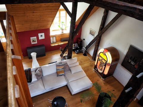 Exceptional  attic apartment - 25 min from Zurich