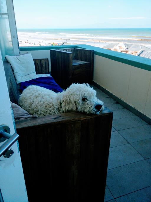 Our private balcony (dog not included:-)