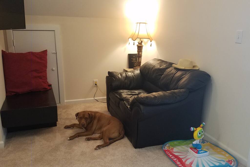 Bonus Room - 1/2 TV Lounge