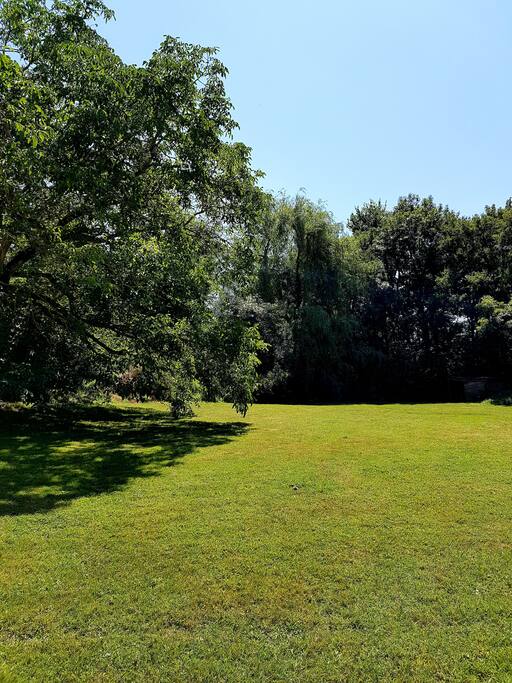Peaceful Garden surrounded by mature trees ☘