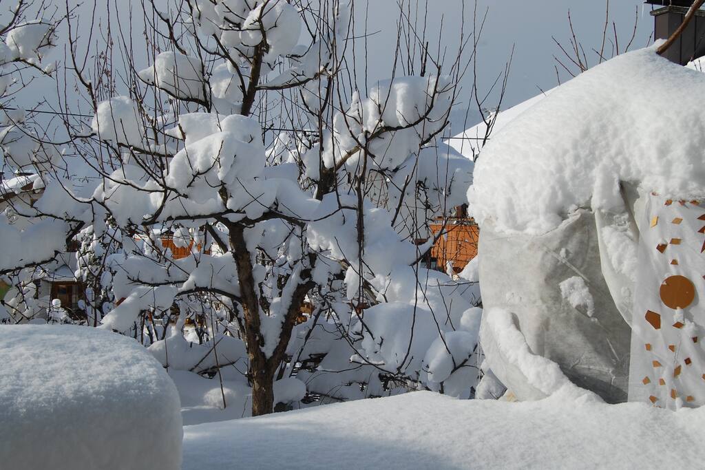 Der Garten im Winter