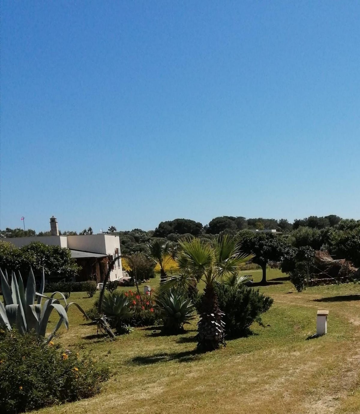 A lush garden is visible, featuring a variety of trees and shrubs under a clear blue sky. Tropical plants, including palm trees and agave, can be seen throughout the landscape. The villa's exterior is subtly framed by green foliage, enhancing the overall tranquil setting.