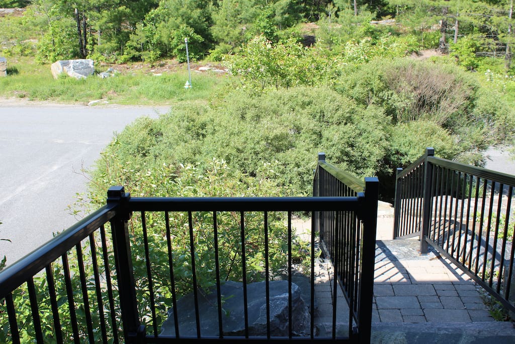 View from the front stairs to the stairs and garden.
