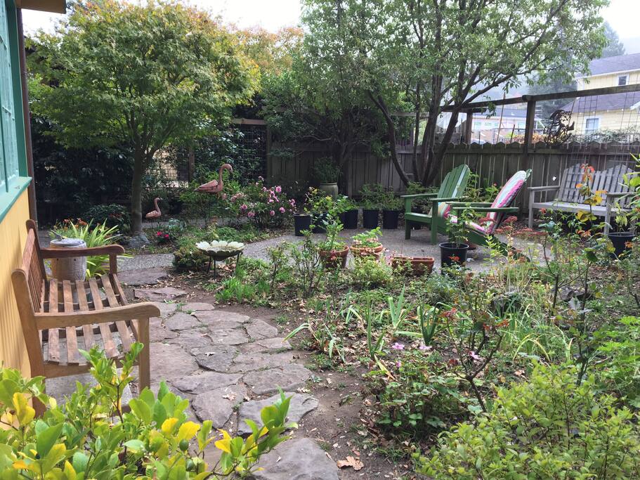 View of Garden