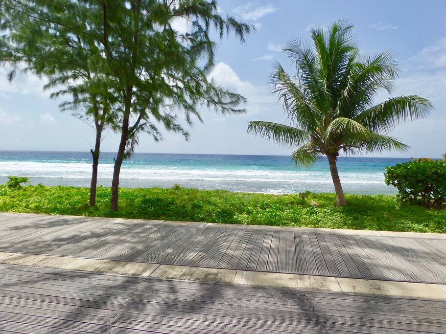 View of the boardwalk