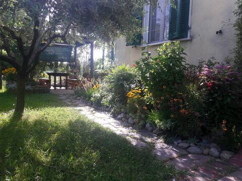 Holiday house "4 cats"