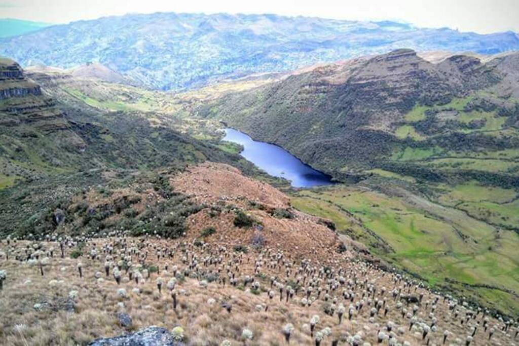 Laguna Negra