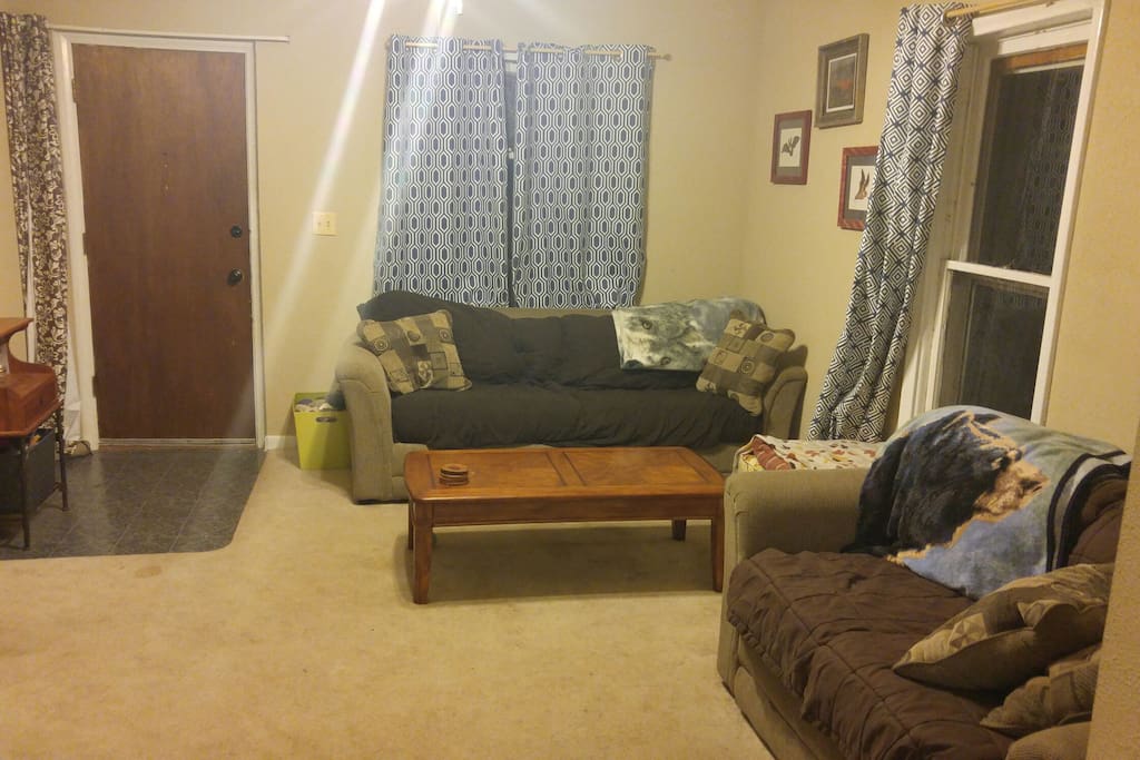 pull out sofa in living room