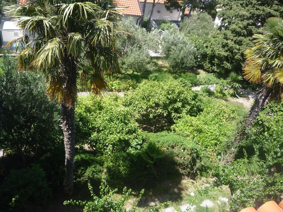 View of the courtyard from the south front of the house.