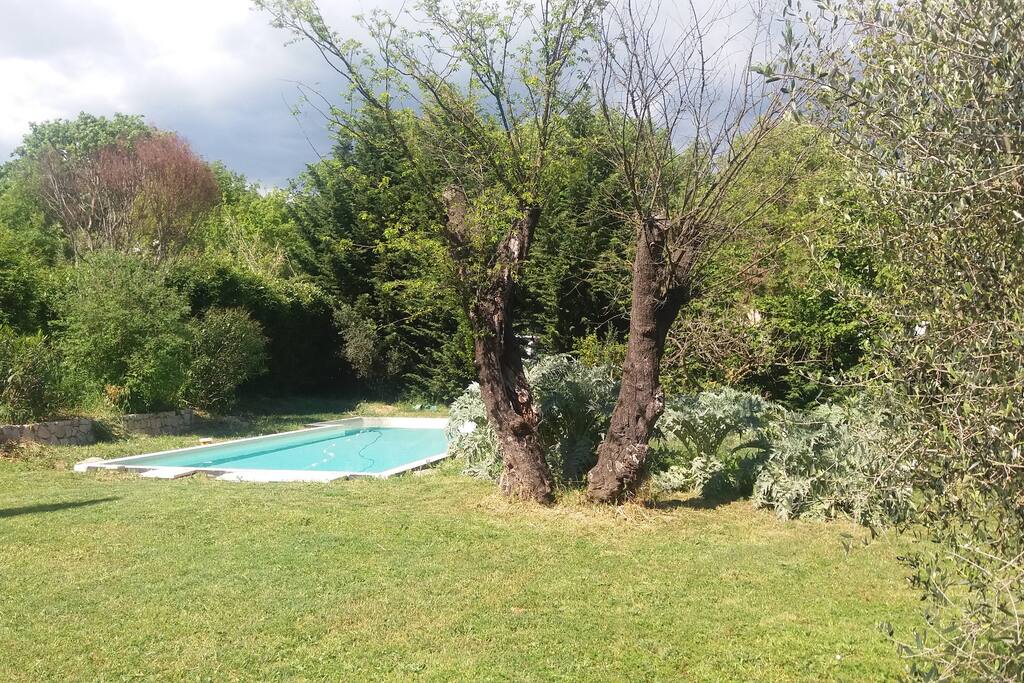 Grand jardin arboré et plat avec piscine