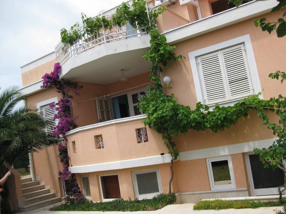 House view from the garden
