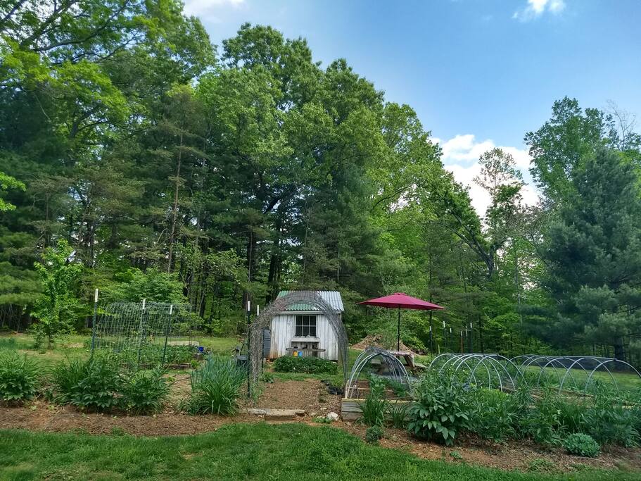 Relax in the garden under the shade umbrella and watch the sun go down.