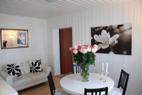 Apartment in Reykjavík centrum