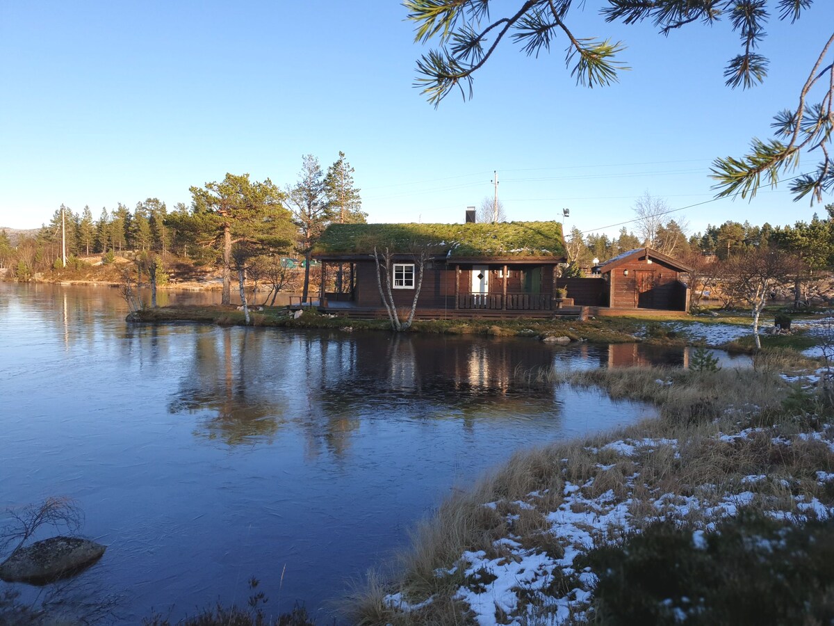 A charming cabin sits on a peninsula by the water's edge, featuring a grassy rooftop. The serene lake reflects the clear blue sky, while trees and patches of snow surround the area, creating a tranquil natural setting.