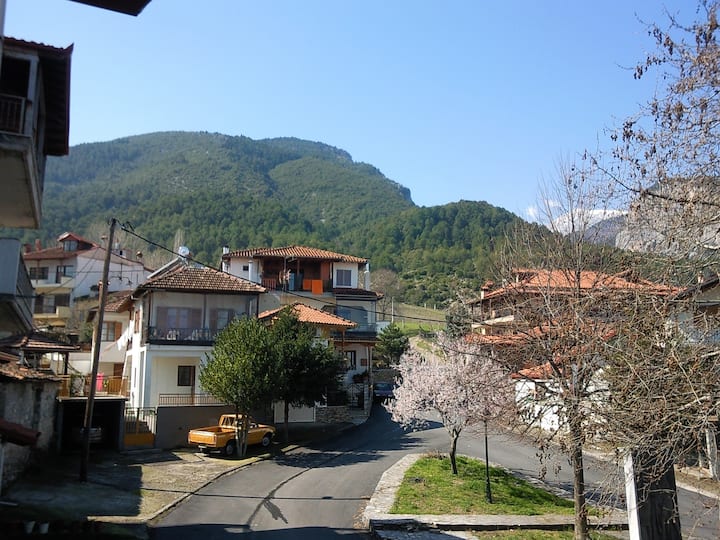 Apartment with view at Olympus mountain