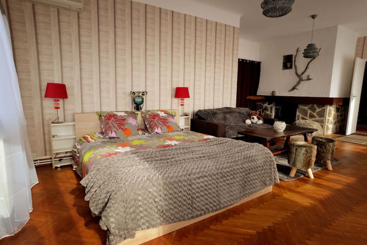Air-conditioned room 55 m² 10 minutes from the City