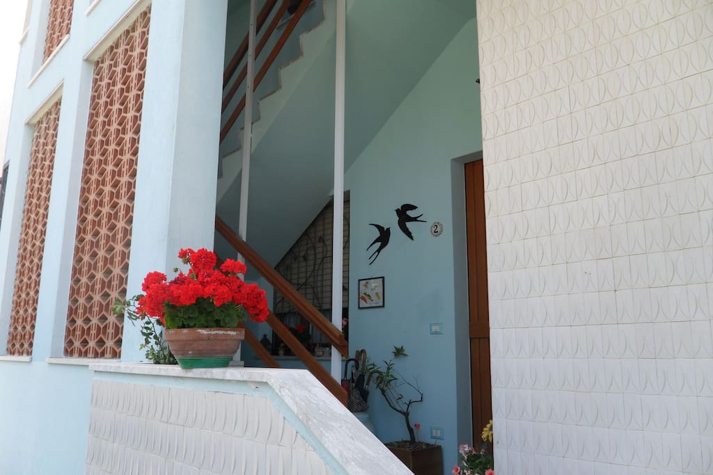 Ingresso