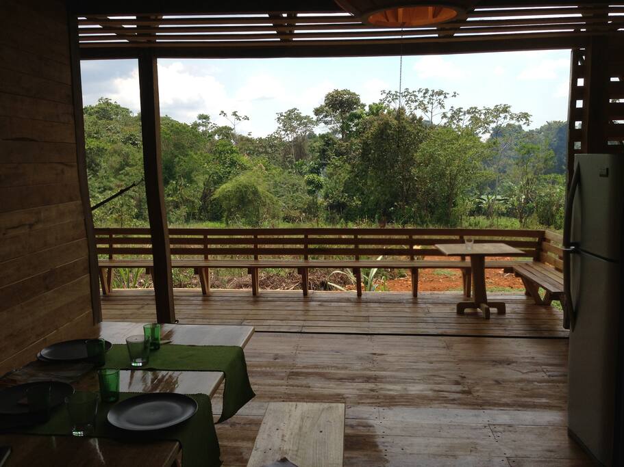 View from the kitchen to the outside