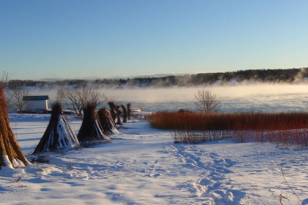 Vinter bilde av pilåkeren
