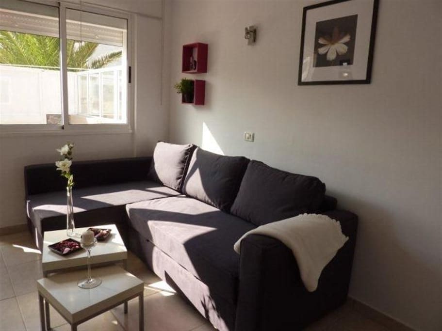Wohn-Schlafzimmer