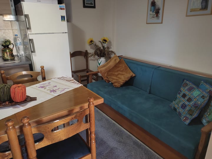 Удобен кауч... се отвора и се претвора во двоен кревет.