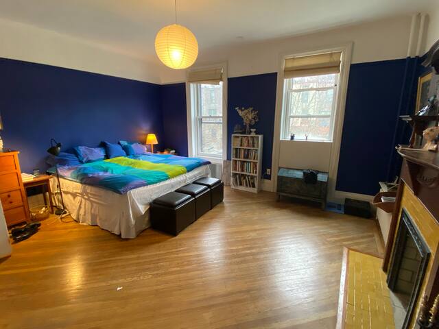 Classic Park Slope Brownstone. A gem. 4 BR, WBFP gallery image 5