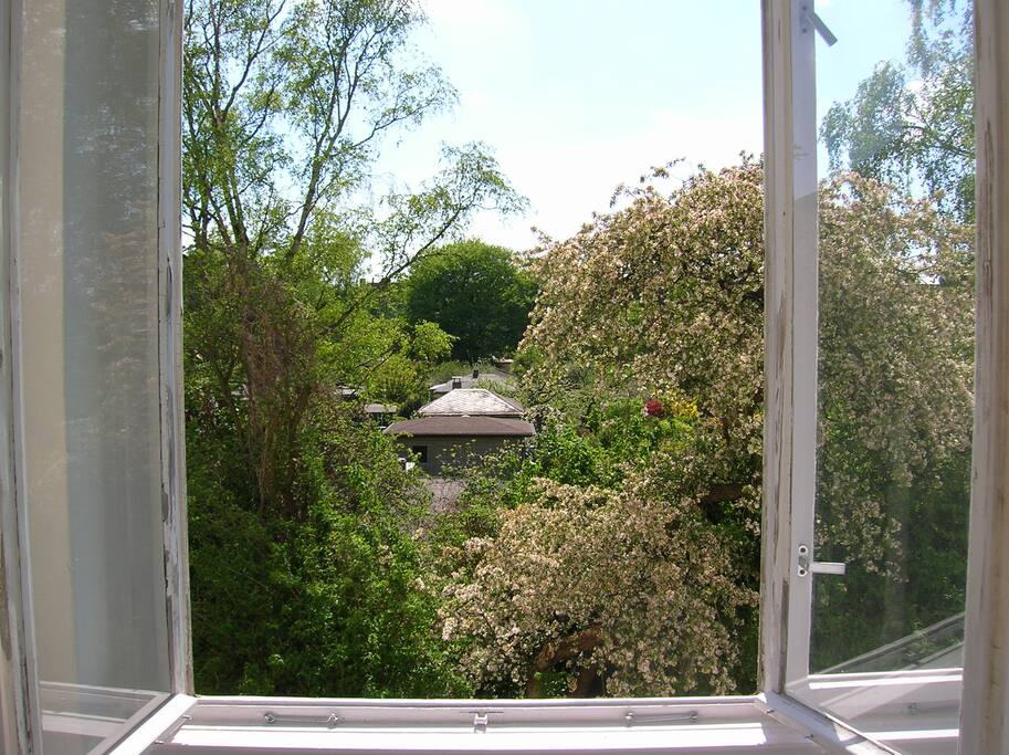 View from the living room