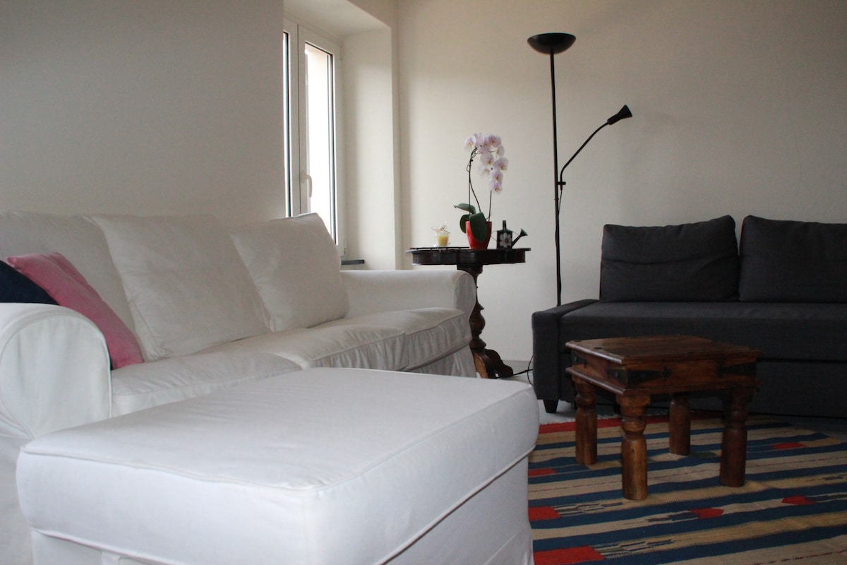 غرفة المعيشة - سرير أريكة (رمادي) وأريكة (بيضاء)