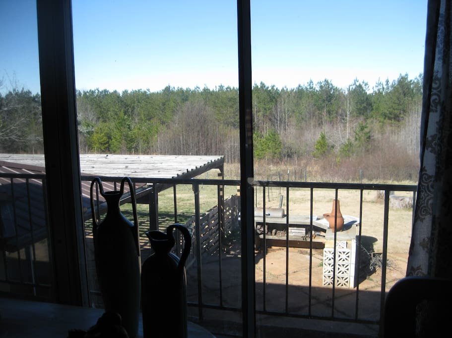 views over back yard with fenced yard just for guests + grill