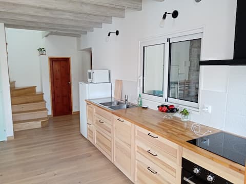Large house in the heart of the Nantes vineyard