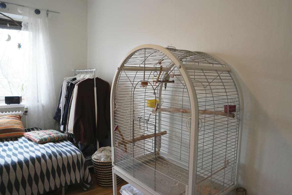 You'll share the room with Ulrik, our twelve year old budgie. He talks during the day, but is quiet at night.
