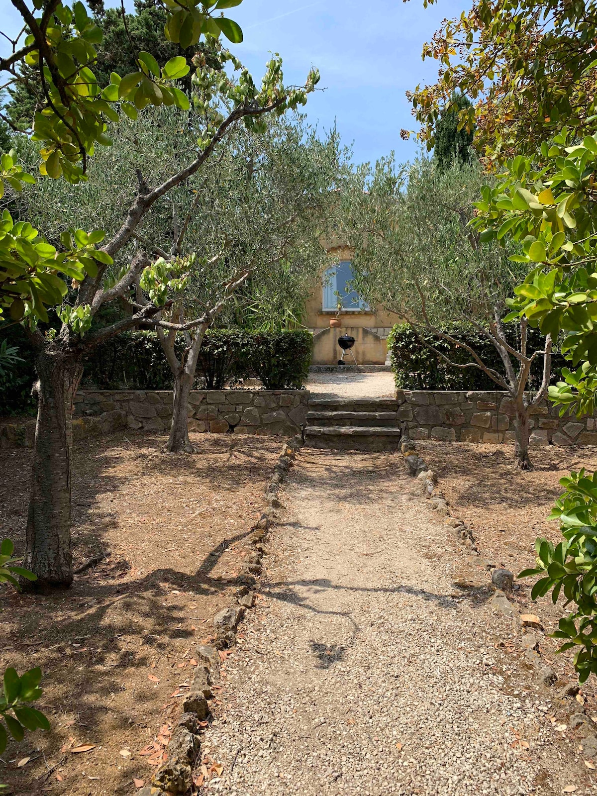 A stone pathway meanders through a peaceful garden, bordered by neatly pruned olive trees. Low stone walls frame the garden, and an inviting yellow structure is visible in the background, with a single blue window reflecting the surrounding greenery.