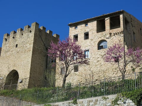 Proprietà Airbnb di successo: Est Locanda, relax within the medieval walls a Macerata