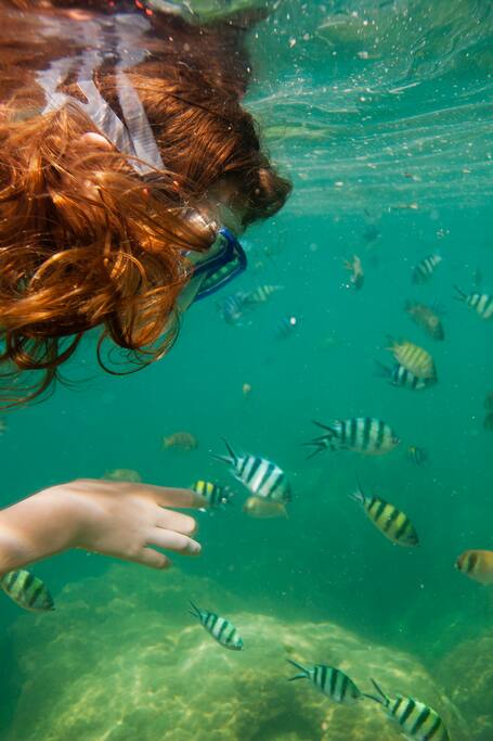 experience snorkeling at a marine park in koh samui