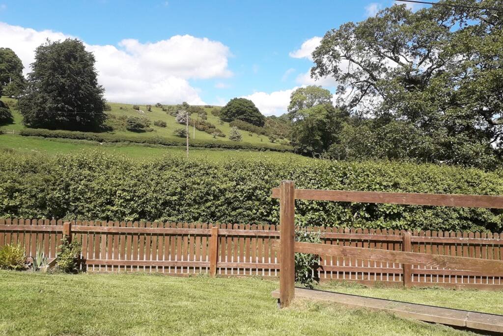 Field views from the garden