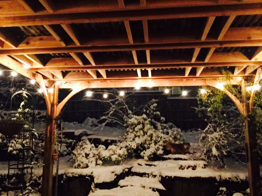 Backyard view after snowfall.