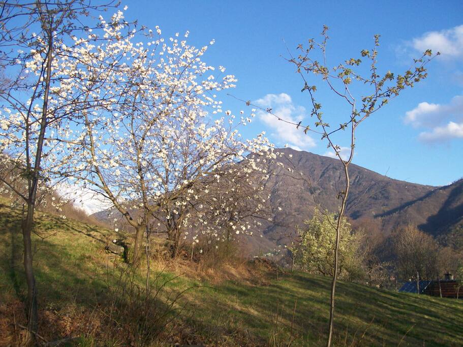 view