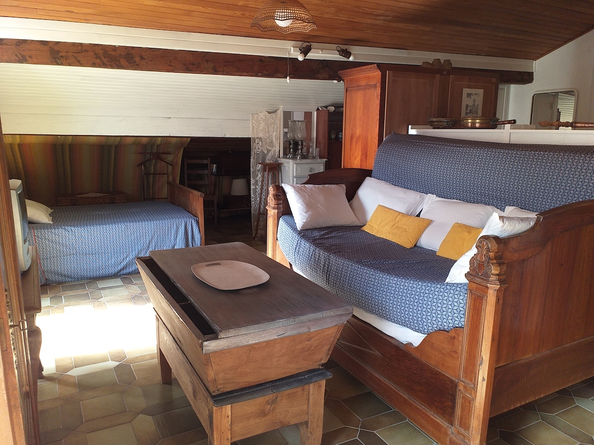 Кат:
уникатен простор за одмор