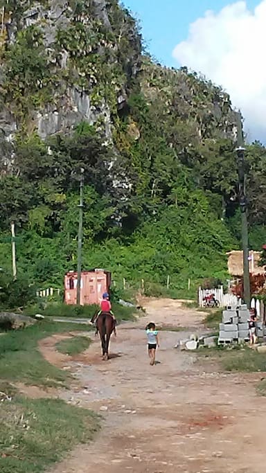 camino a el mogote coco solo