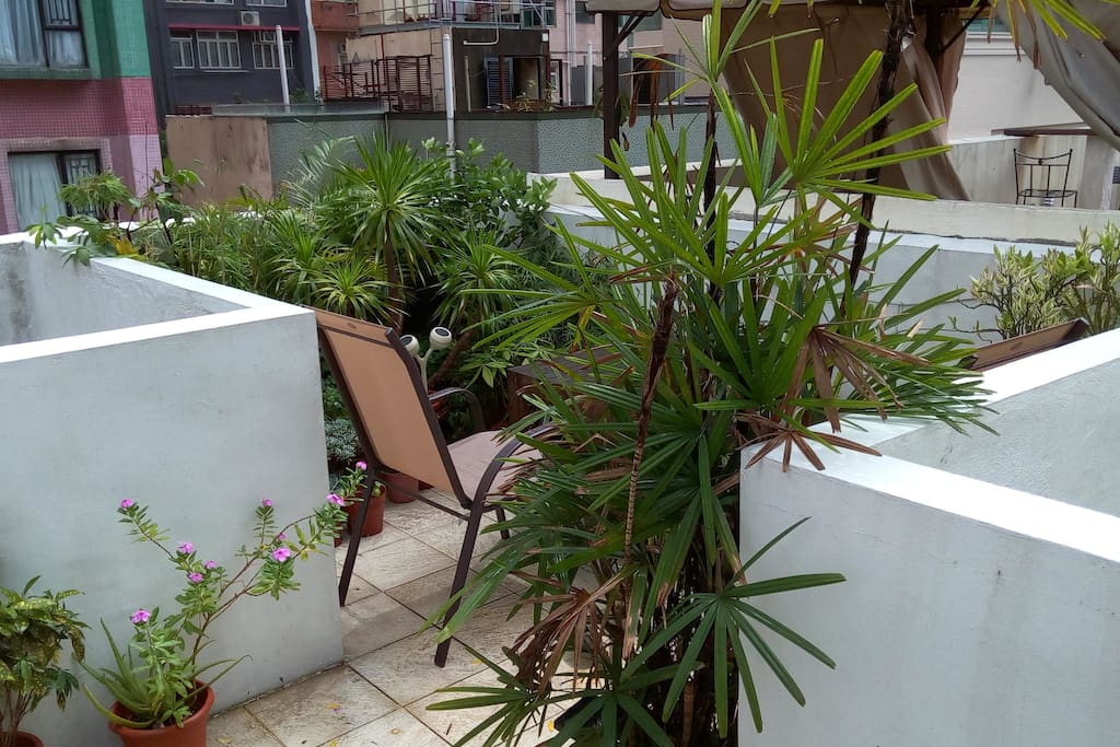 Beautiful Rooftop Garden