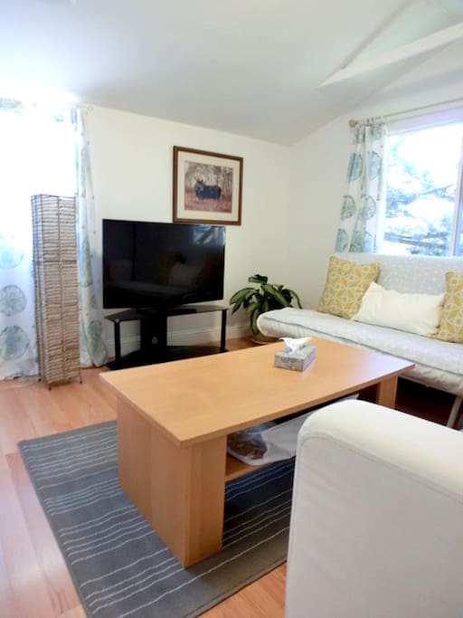Living Room with folded sofa bed