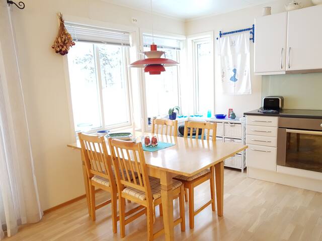 Nice and bright apartment all to yourself!