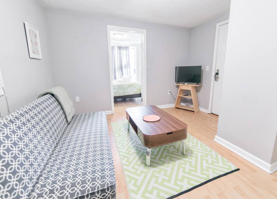 Flatscreen and cute Furnishings
