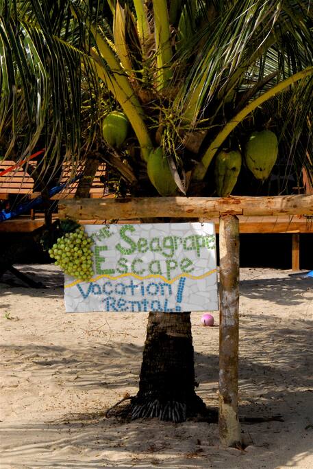 Please read our 60+ reviews on Trip Advisor!